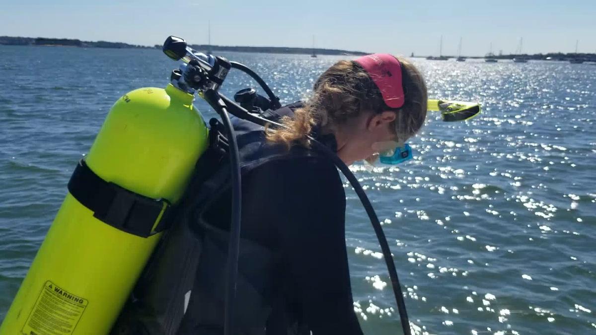 Team Zostera Piloting Citizen Science in Casco Bay