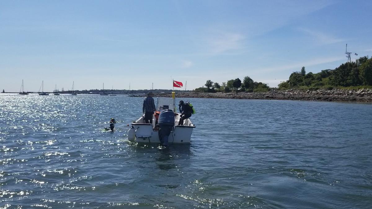 Team Zostera Piloting Citizen Science in Casco Bay