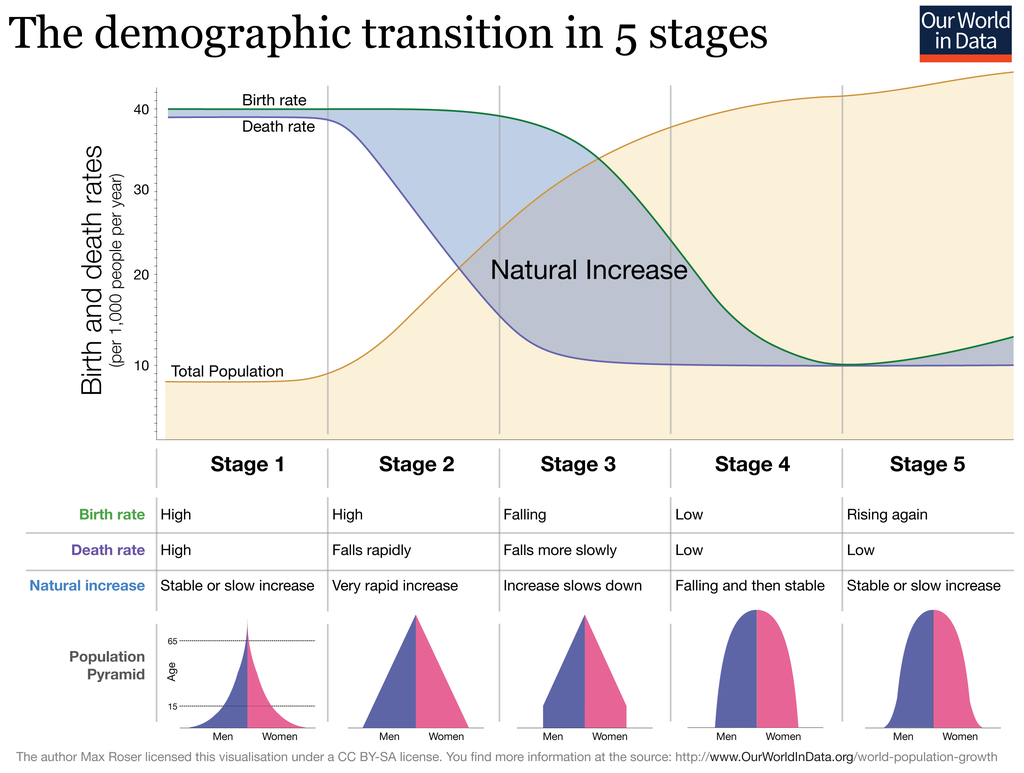 Demographic Transition