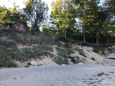 Shifting sands: protecting environments from dune migration