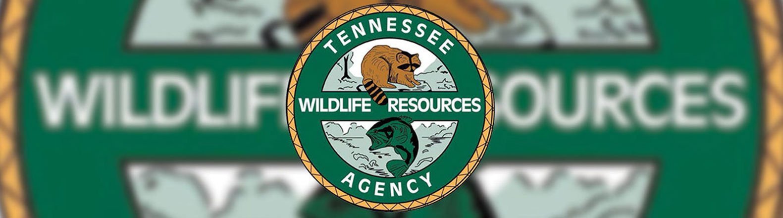 Tennessee Public Hunting Land - MKaiSGnqbIOeC47jcuolz