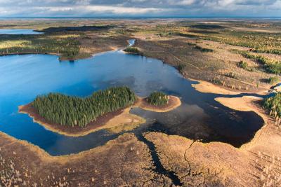 The rich wildlife of Hudson Bay - Churchill Wild Polar Bear Tours