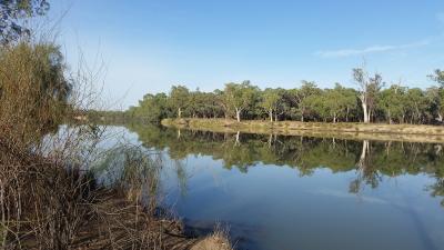 Gerard Wetland Complex