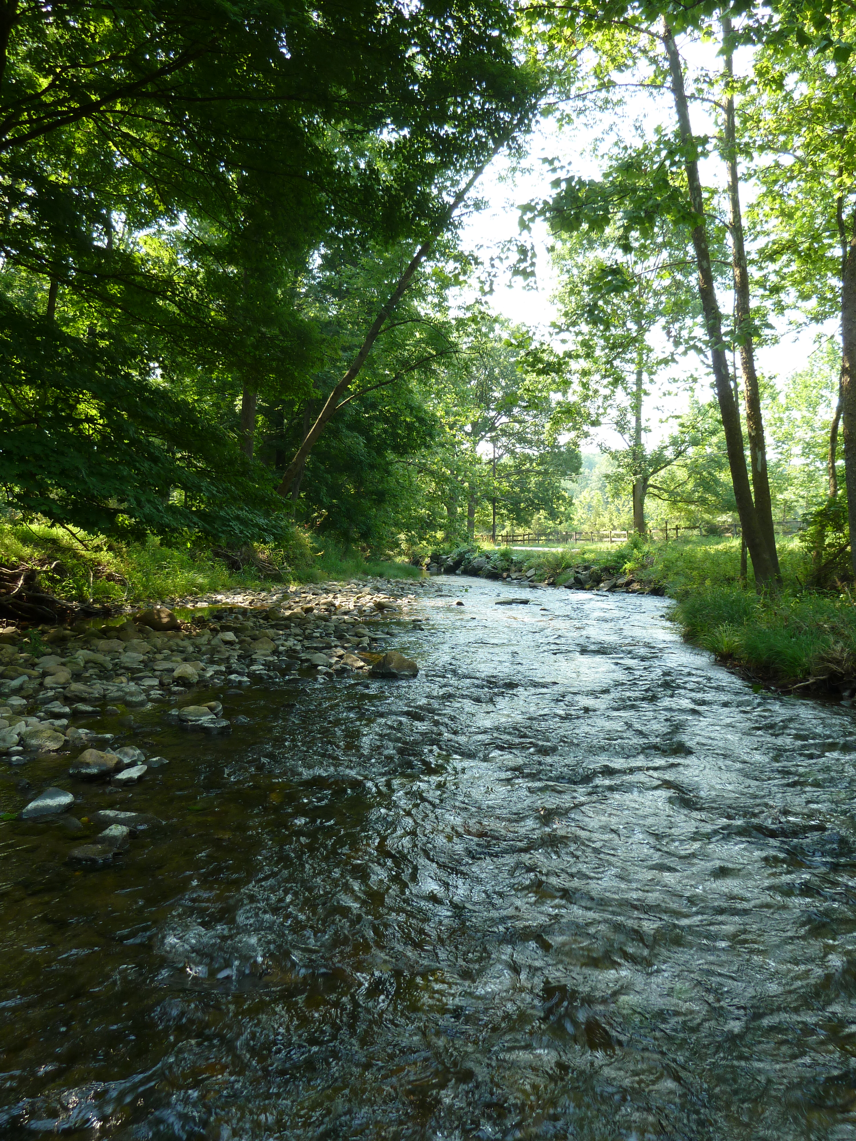 Readington Township, Our Community's Land And Water