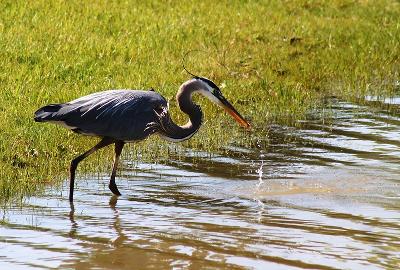 Stormwater Management Program Plan