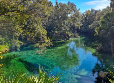 How Does Human Impact Effect The Health Of Florida Springs