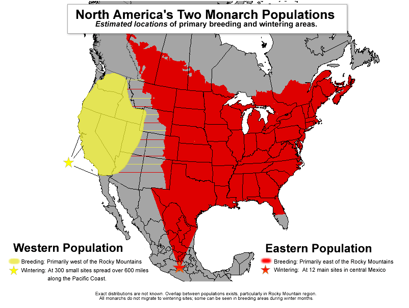 monarch butterfly migration map 2022