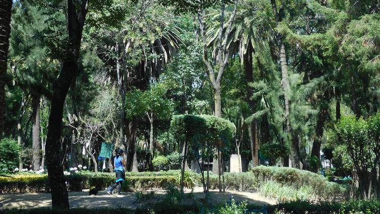 chilango - Los mejores parques de la ciudad para llevar a tu perro