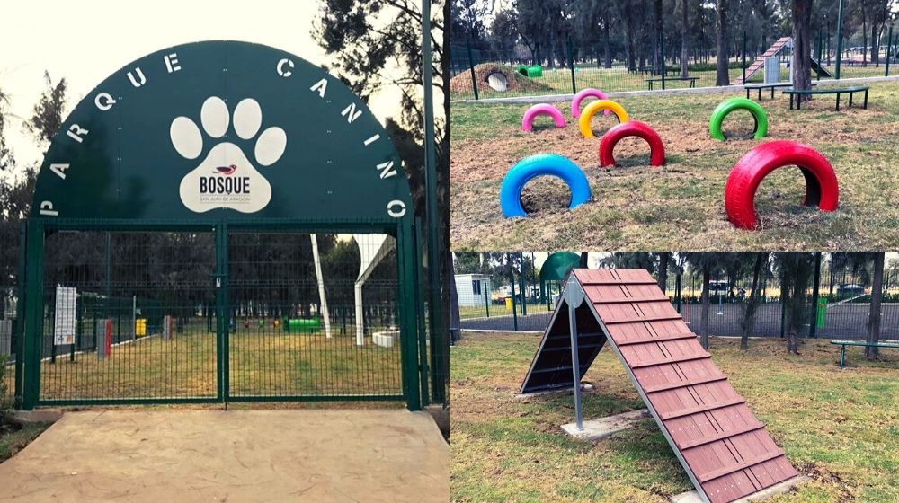Parque para perros pequeños
