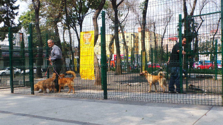 chilango - Los mejores parques de la ciudad para llevar a tu perro