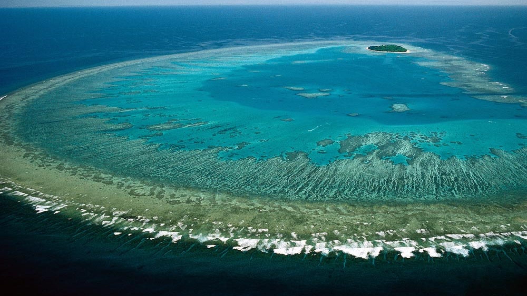 How Climate Change Affects The Great Barrier Reef