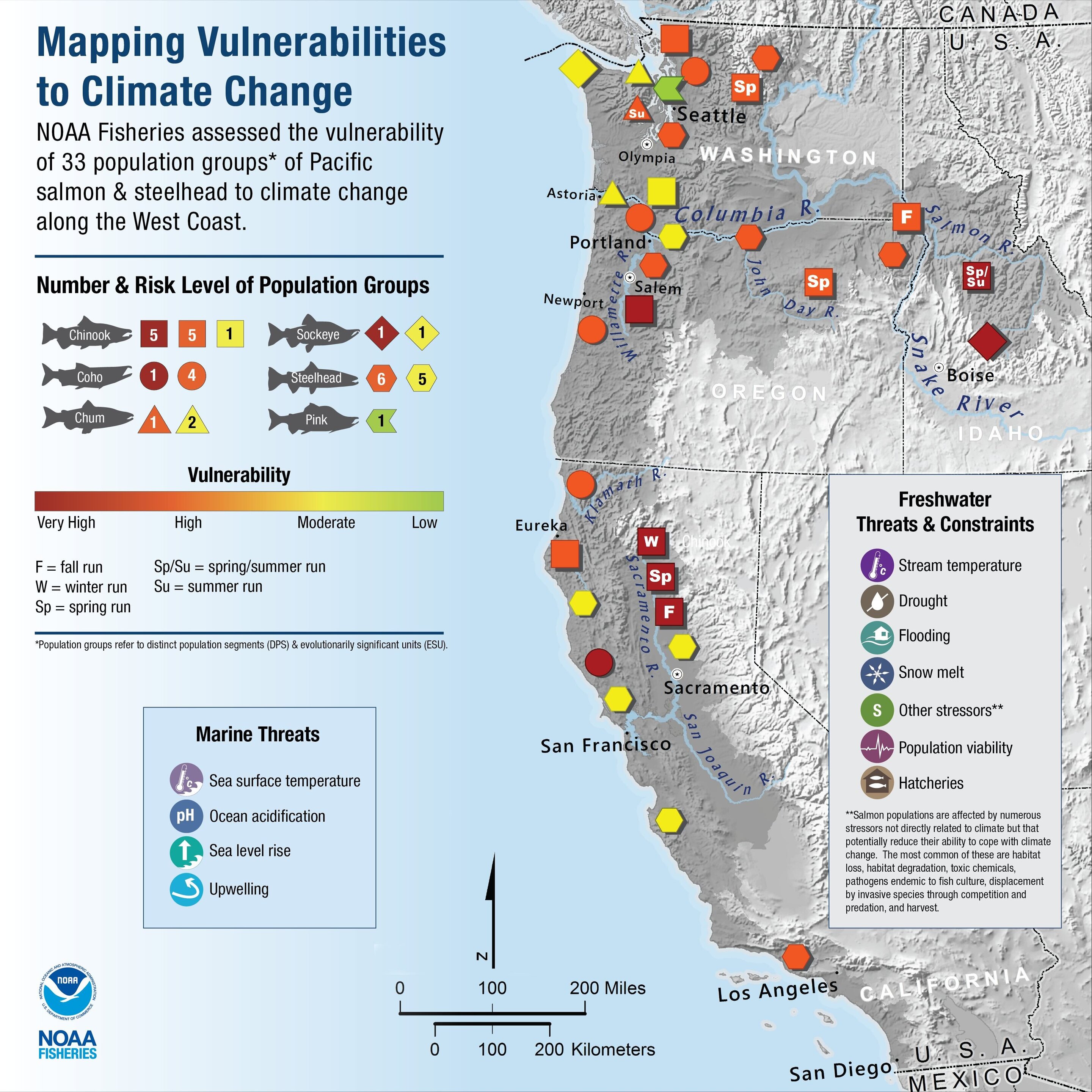 The Decline Of Salmon Populations