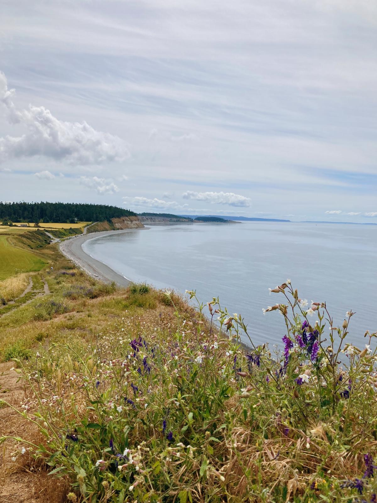 Common Snowberry - Coastal Interpretive Center