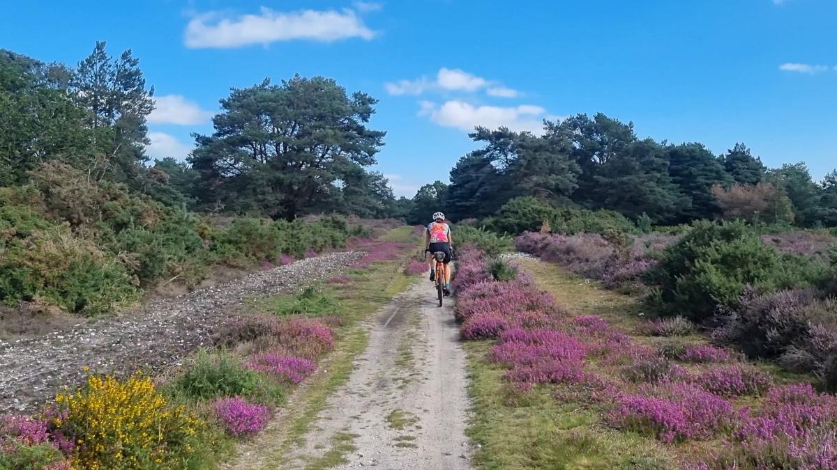 Wolf Way: Couple create 248-mile cycle loop around Suffolk - BBC News