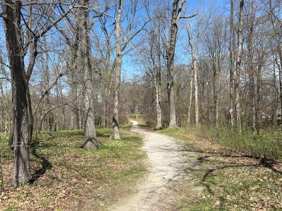 Ann Arbor Urban Park Assessment