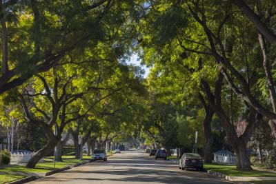 Addressing LA County 'Shade Deserts'