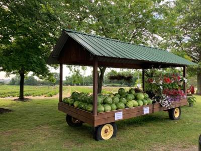 Food Security, Glassboro NJ