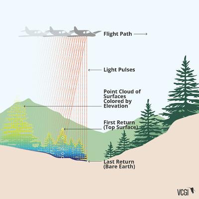 LiDAR Analysis of Optimal Moose Foraging Habitat in NH