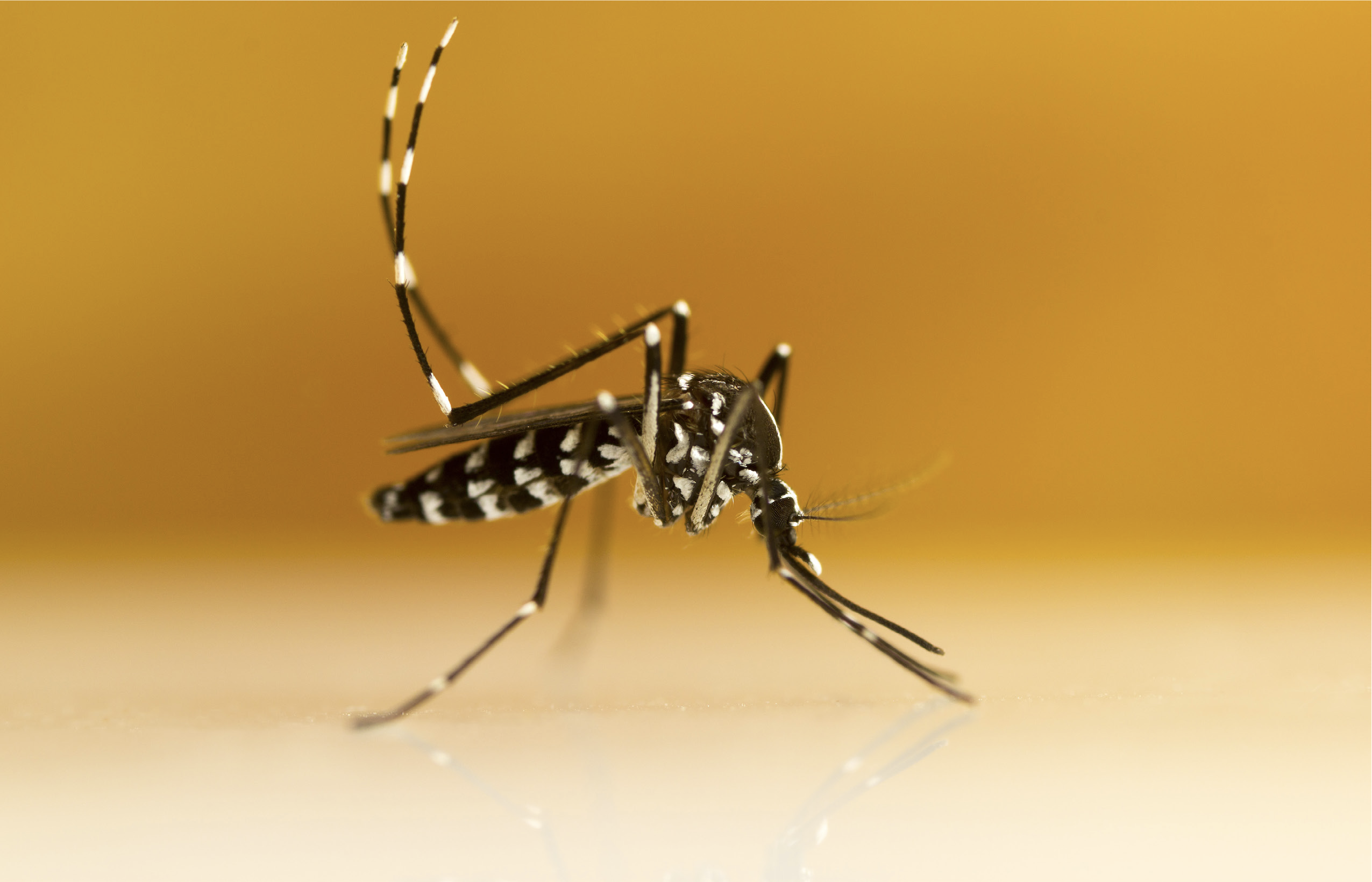 2023 WEST NILE VIRUS DATA   02j5KhPqUtsGEaInrG42J 