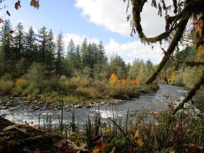 Santiam Canyon