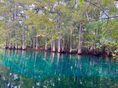 Springs & Geological Sites in the Greater Gainesville Area