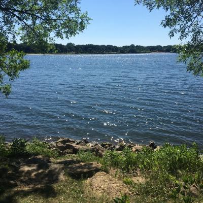 Lake Phalen: One Park, Many Perspectives