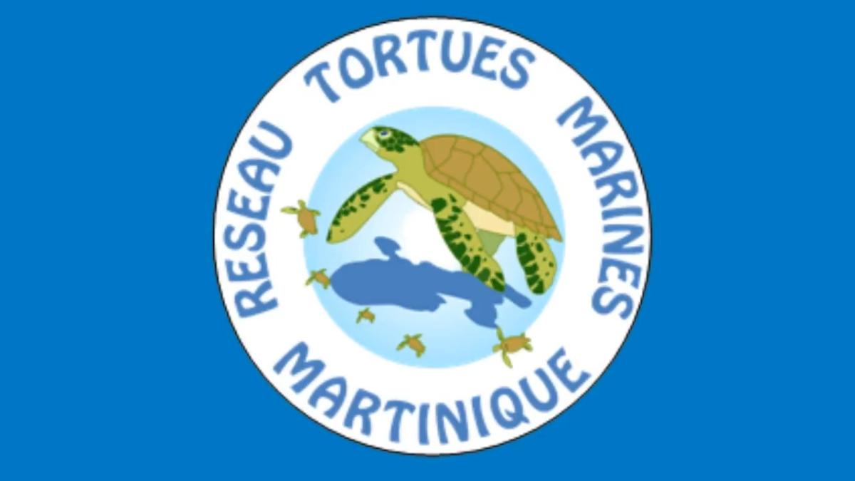 Nidification et conservation des tortues marines