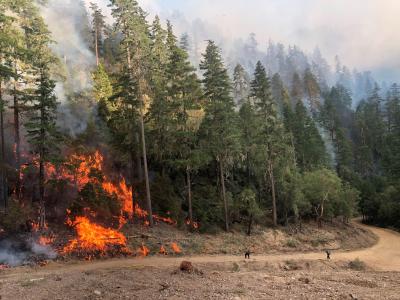 Red Salmon Fire Complex