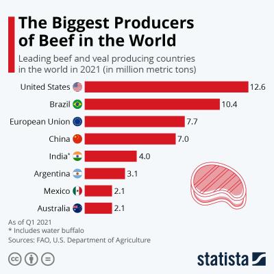 The Environmental Impact of the Meat Industry