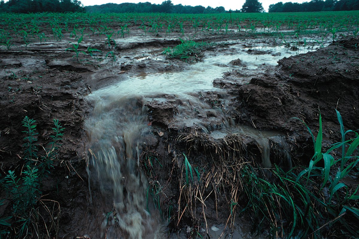 Environmental Injustice