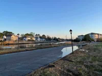 The Ecological Story of the Chesapeake Bay