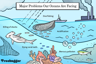 How overfishing threatens the world's oceans—and why it could end in  catastrophe