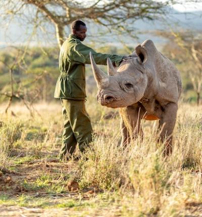 LAIKIPIA TOURIST DESTINATIONS