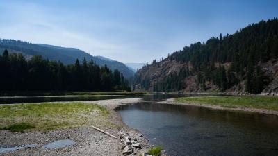 Kootenai & Moyie Tributary Stream Temperatures