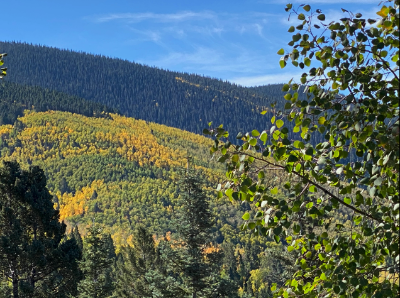 The Aspen Trail