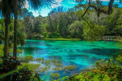 Hidden Gems of Central Florida Hidden Gems of Central Florida