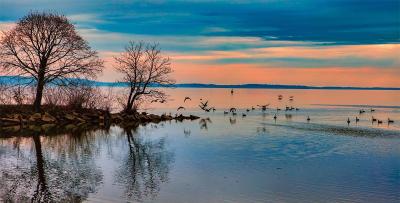 VIDEO: 10K Fish Dead on Severn River Due to Isaias